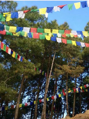 Prayer Flag (Medium)